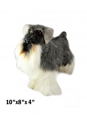 Schnauzer, Stand